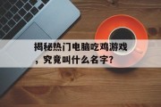 揭秘热门电脑吃鸡游戏，究竟叫什么名字？