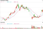 全国首单资金占用代位诉讼案示范效应显著 全国首单资金占用代位诉讼案示范效应显著