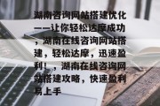 湖南咨询网站搭建优化——让你轻松达摩成功，湖南在线咨询网站搭建，轻松达摩，迅速盈利！，湖南在线咨询网站搭建攻略，快速盈利易上手