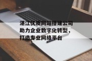 湛江优质网站搭建公司助力企业数字化转型，打造专业网络平台