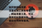 如何查网站流量，网站流量检测工具有哪些？，网站流量工具，可以提供实时数据分析、流量趋势预测等服务。