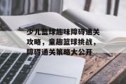 少儿篮球趣味障碍通关攻略,童趣篮球挑战,障碍通关策略大公开
