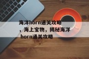 海洋horn通关攻略，海上宝物，揭秘海洋 horn通关攻略
