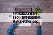 SEO教程入门网站,SEO,新手指南带你快速上手基础 SEO