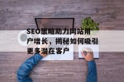 SEO策略助力网站用户增长，揭秘如何吸引更多潜在客户