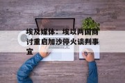 埃及媒体：埃以两国商讨重启加沙停火谈判事宜