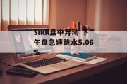 Sndl盘中异动 下午盘急速跳水5.06%