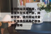 高效网站流量策略，打造强大在线用户群，网络营销，提升网站流量，实现强在线用户群体建设策略