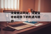流量商店网站，流量变现新趋势下的机遇与挑战