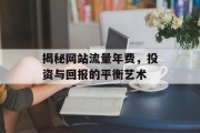 揭秘网站流量年费，投资与回报的平衡艺术