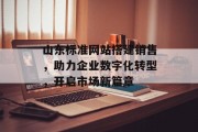 山东标准网站搭建销售，助力企业数字化转型，开启市场新篇章