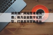 湖南推广网站搭建服务费，助力企业数字化转型，打造高效营销平台