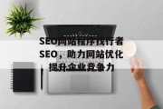SEO网站程序找行者SEO，助力网站优化，提升企业竞争力