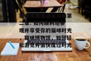 猫咪博物馆通关攻略第二章: 如何顺利地参观并享受你的猫咪时光,猫咪博物馆,如何轻松游览并愉快度过时光