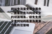 网站免流量免费全黄色，黑客攻击与网络安全的双面视角，避免免费全黄网站的危害及黑客攻击防范策略