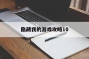 隐藏我的游戏攻略10