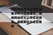 湖南网站优化公司的深度分析与选择建议，湖南网站优化公司实战指南，深度解析与选型策略