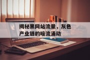 揭秘黑网站流量,灰色产业链的暗流涌动 揭秘黑网站流量,灰色产业链的暗流涌动