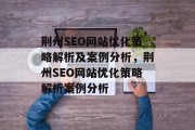 荆州SEO网站优化策略解析及案例分析，荆州SEO网站优化策略解析案例分析