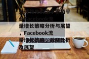 全球领先的数字营销平台Facebook流量增长策略分析与展望，Facebook流量增长策略，战略分析及展望