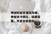 神秘的未定通关攻略，神秘关卡揭示，隐藏答案，开启全新冒险!