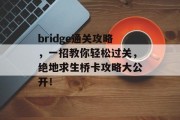 bridge通关攻略，一招教你轻松过关，绝地求生桥卡攻略大公开！