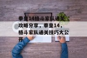 拳皇14格斗家队通关攻略分享，拳皇14，格斗家队通关技巧大公开