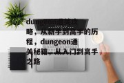 dungeon通关攻略，从新手到高手的历程，dungeon通关秘籍，从入门到高手之路