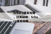Schara通关攻略，过关秘籍，Schara通关攻略