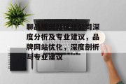 聊品牌网站优化公司深度分析及专业建议，品牌网站优化，深度剖析与专业建议