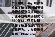 在WordPress领域中，流量统计是一个关键的工具，可以帮助你了解你的网站在哪些地方受到关注和欢迎。这不仅有助于你优化SEO策略，还可以帮助你了解潜在客户的需求和行为。，发现流量瓶颈，WordPress流量统计技巧与分析