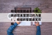 晓组织觉醒通关攻略，挑战你未曾想过的力量！，晓组织觉醒通关攻略