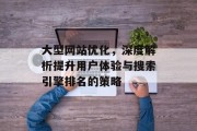 大型网站优化，深度解析提升用户体验与搜索引擎排名的策略