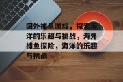 国外捕鱼游戏，探索海洋的乐趣与挑战，海外捕鱼探险，海洋的乐趣与挑战