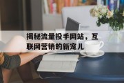 揭秘流量投手网站，互联网营销的新宠儿