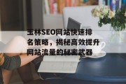 玉林SEO网站快速排名策略，揭秘高效提升网站流量的秘密武器