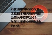 石化油服:中石化石油工程技术服务股份有限公司关于召开2024年第三季度业绩说明会的公告