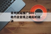 常州网站推广SEO，助力企业线上崛起的秘诀