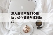 深入解析网站SEO模块，优化策略与实战技巧