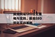陇南网站SEO优化策略与实践，陇南SEO优化实战策略