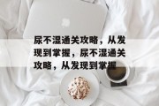 尿不湿通关攻略，从发现到掌握，尿不湿通关攻略，从发现到掌握