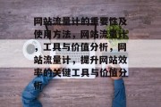 网站流量计的重要性及使用方法，网站流量计，工具与价值分析，网站流量计，提升网站效率的关键工具与价值分析