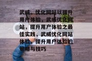 武威，优化网站以提升用户体验，武威优化网站，提升用户体验之最佳实践，武威优化网站体验，提升用户体验的策略与技巧