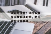 网站无流量？揭秘五大原因及解决方案，助你重拾流量高峰