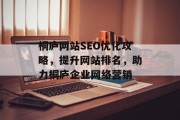桐庐网站SEO优化攻略，提升网站排名，助力桐庐企业网络营销