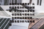 年度网站流量费用，从收益角度分析和控制策略，优化网站流量费用，收益角度与策略分析，年度网站流量管理，收益角度分析与策略策略