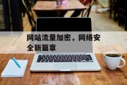 网站流量加密,网络安全新篇章 网站流量加密,网络安全新篇章