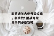 即将通关大佬升级攻略，新挑战! 挑战升级高手的必备攻略