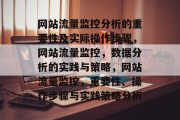 网站流量监控分析的重要性及实际操作步骤，网站流量监控，数据分析的实践与策略，网站流量监控，重要性、操作步骤与实践策略分析