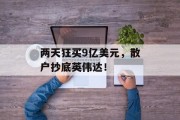 两天狂买9亿美元，散户抄底英伟达！